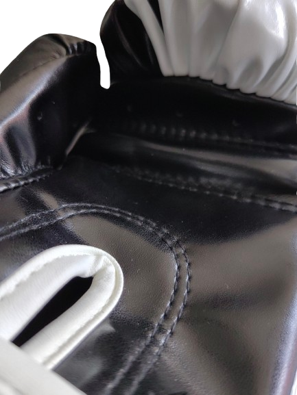 Future Champions Start Here - Zoryth 6oz Muay Thai Gloves for Kids