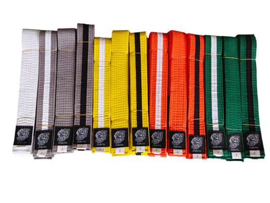Built for the Next Generation of Grapplers — Zoryth Kids BJJ Belts